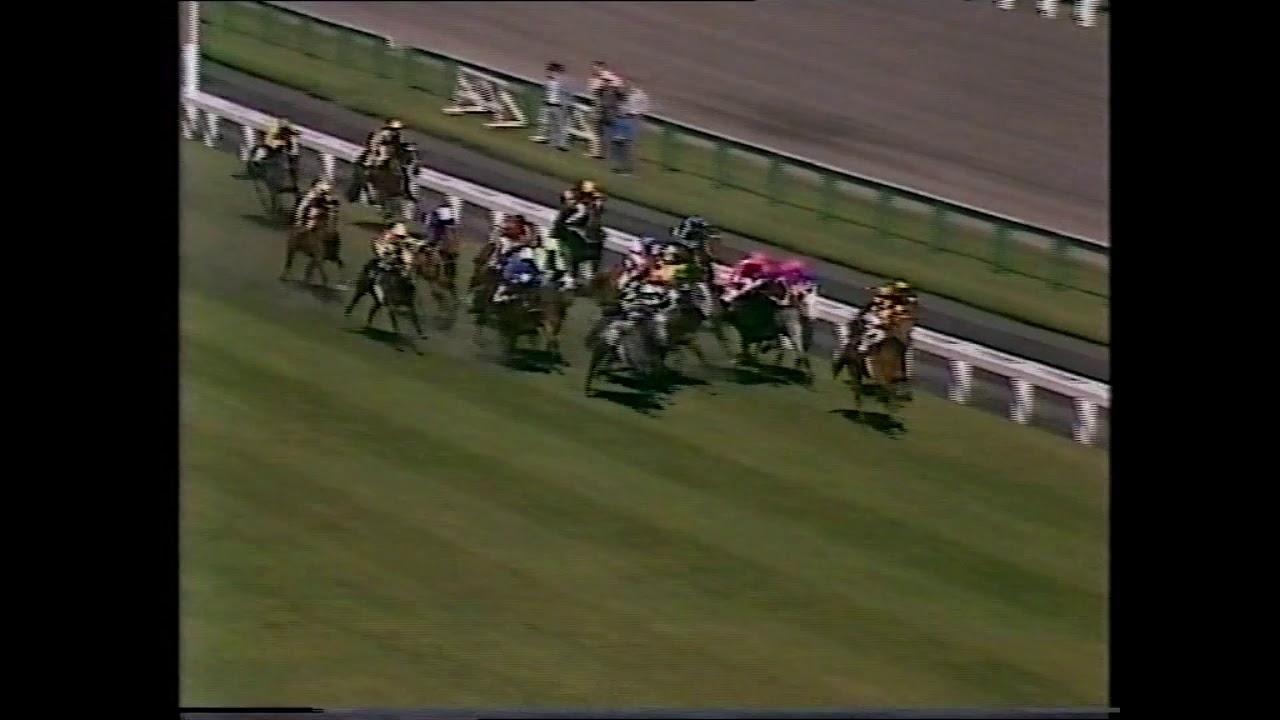 1981 Caulfield Cup original telecast