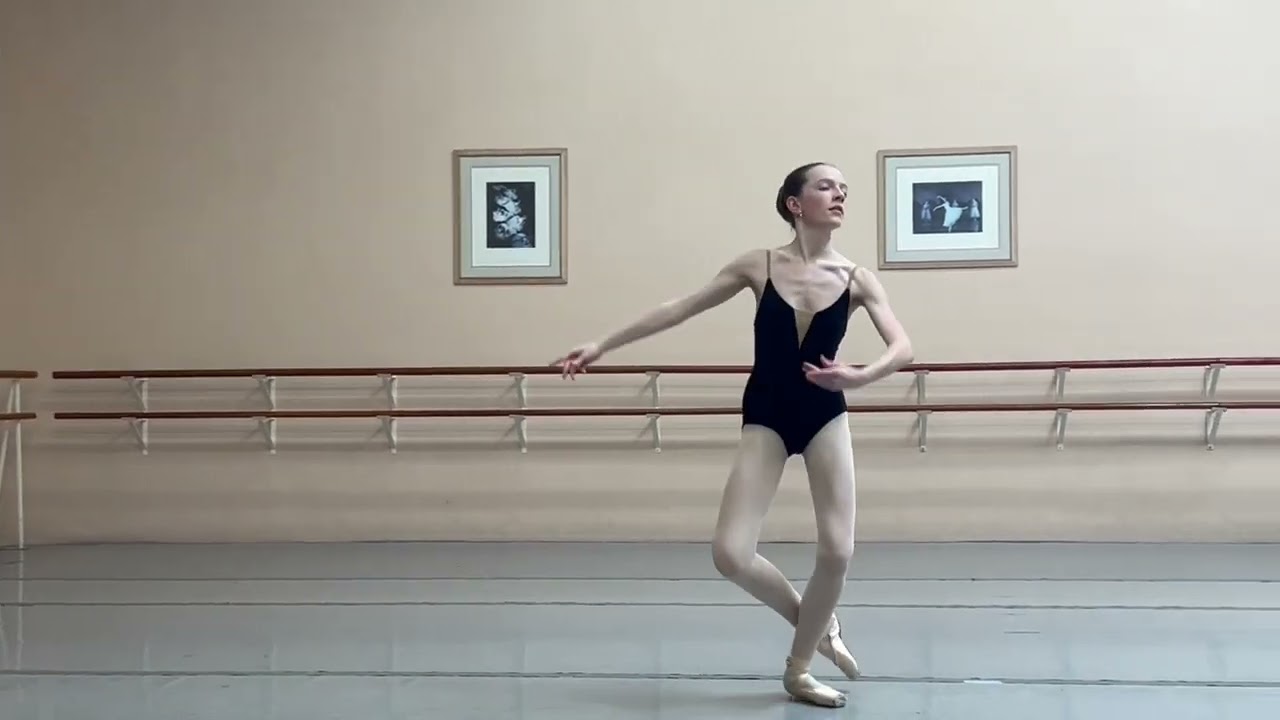 SN Audition 2026
