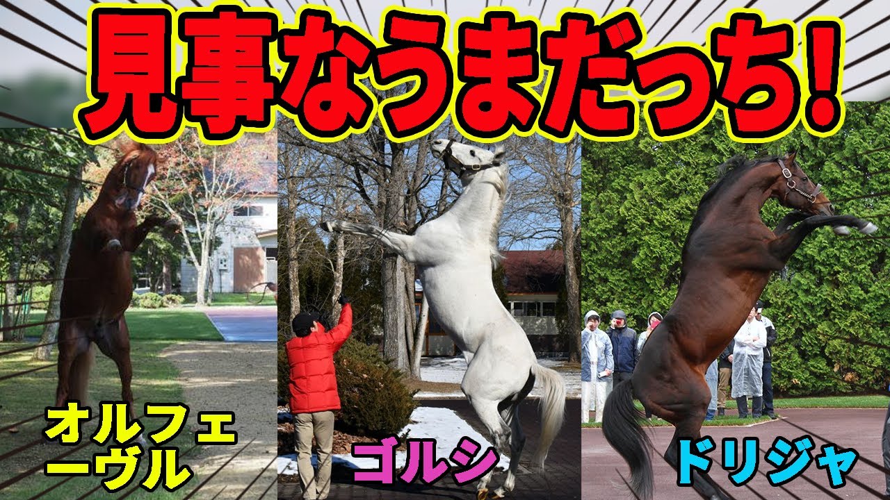 【爆笑】後脚だけで立っちゃうお馬さんを見たくない？wwに対するみんなの反応集【競馬の反応集】