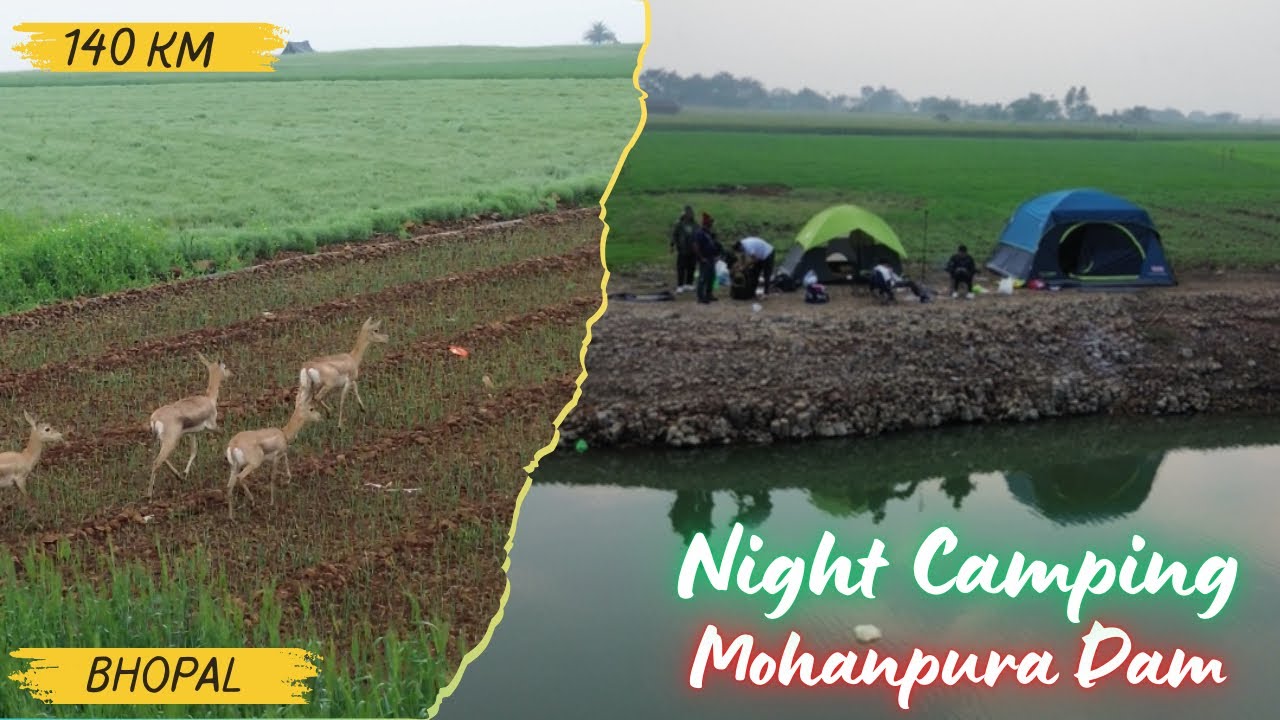 Camping at Mohanpura Dam Nearby bhopal | Wildlife - Adnan khan vlogs