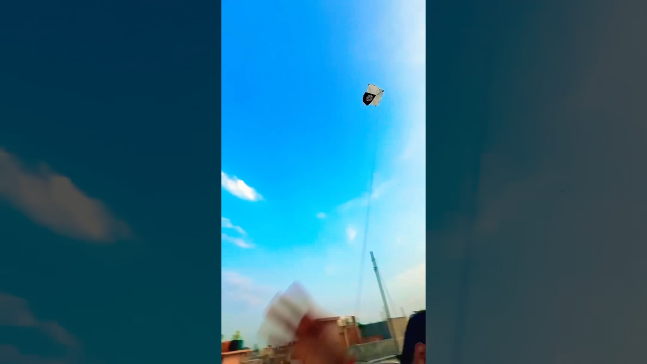 Kite flying video//#15august 🪁(Makar Sankranti)#kite #patang #kitefighting#independenceday#basant