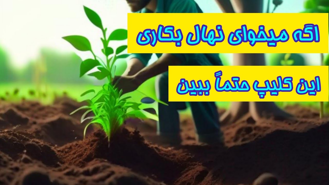 اگه میخوای نهال بکاری این کلیپ حتماً ببین