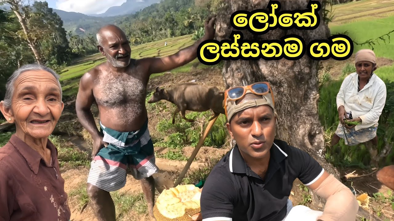 ඇත්තටම හිත නතර උනා මේ අපූරු ගමේ ( කිතුල්පේ හුදකලා ගම්මානය රිකිල්ලගස්කඩ 🇱🇰 ) 