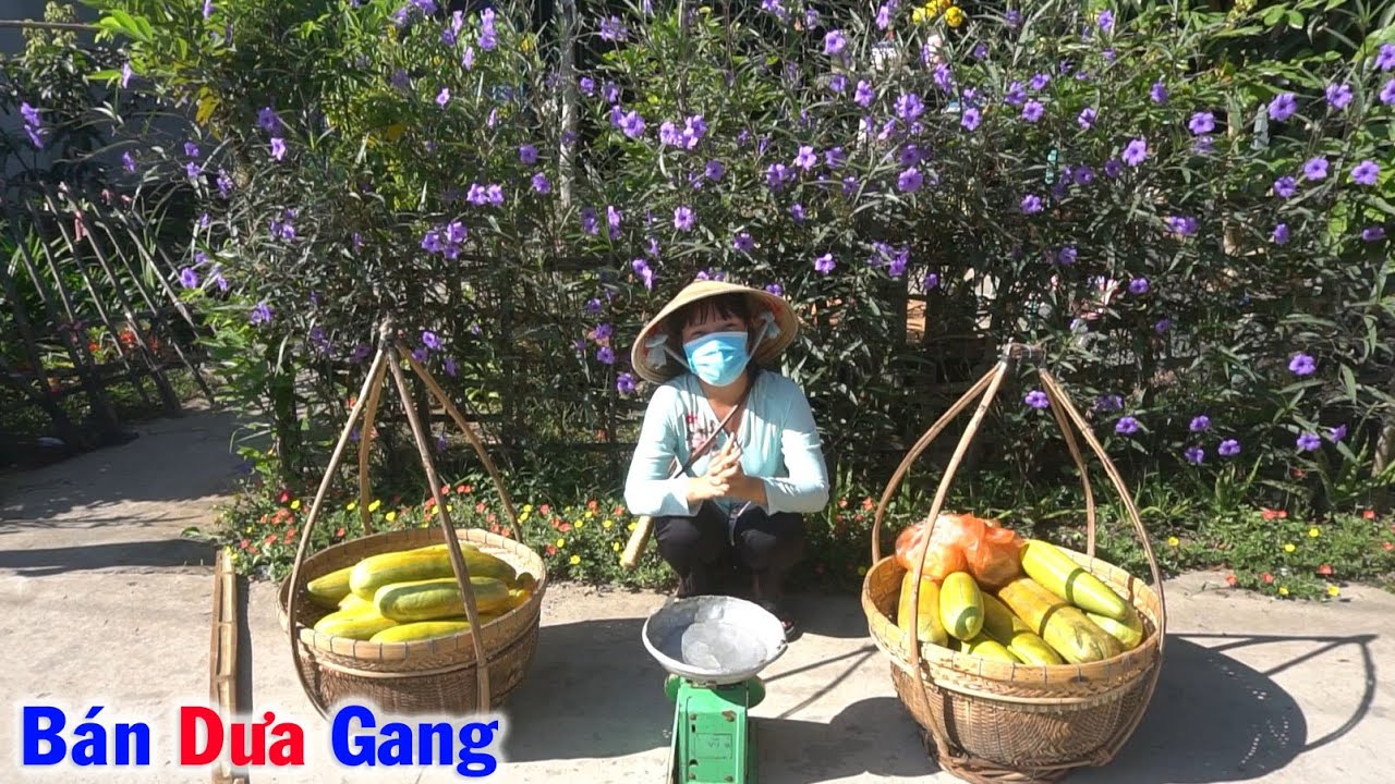DƯA GANG Nhà Trồng Được Đem Ra Đường Quê Bán Không Kip Tính Tiền #63