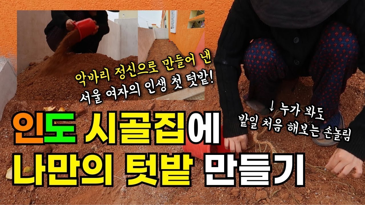 인도 시골집에 만든 인생 첫 텃밭 (feat.인도 시골 풍경) | 인도 시골 생활 | 인도에서 밥 해먹기 | 인도생활 브이로그