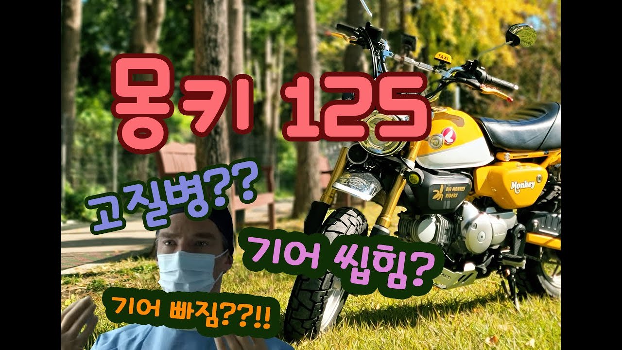 [👩🏻‍⚕️몽키에게 병이 있다구요?] 같이 해결합시다!! 몽키125 monkey125