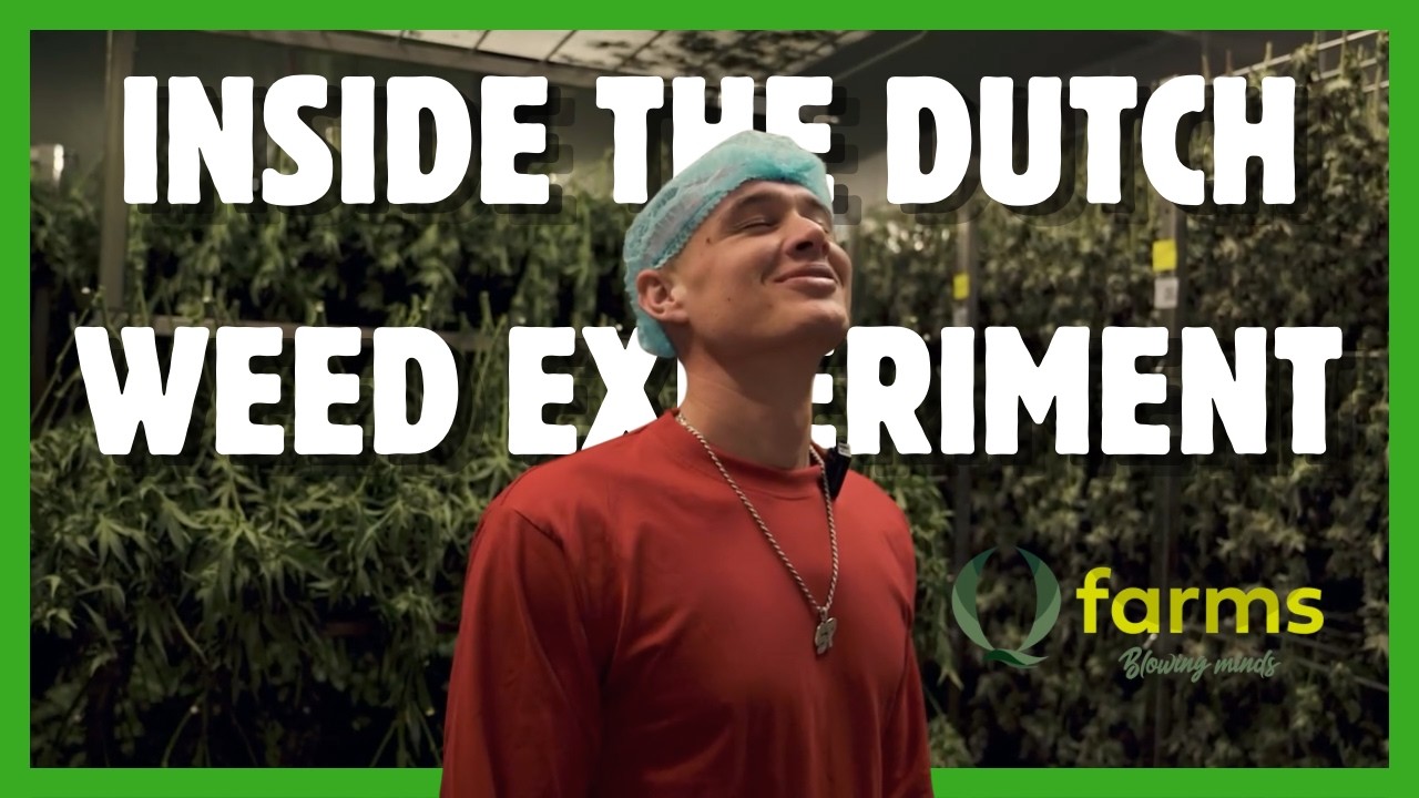 Q-Farms - Inside The Dutch Weed Experiment Episode 1