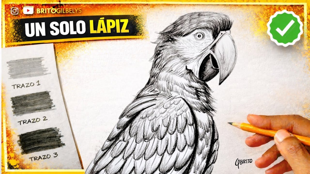 Cómo Dibujar un LORO REALISTA usando SOLO UN LÁPIZ ✏️🦜