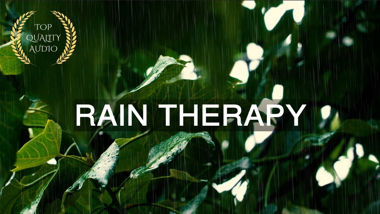 10 Hour | Relaxing Rain & Wind Sound Therapy | Tranquil Ambience for Deep Sleep & Stress Relief