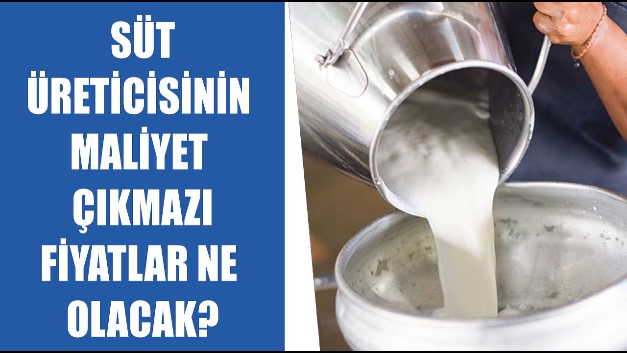 #CANLI Süt Üreticisinin Maliyet Çıkmazı | Mustafa Suiçmez