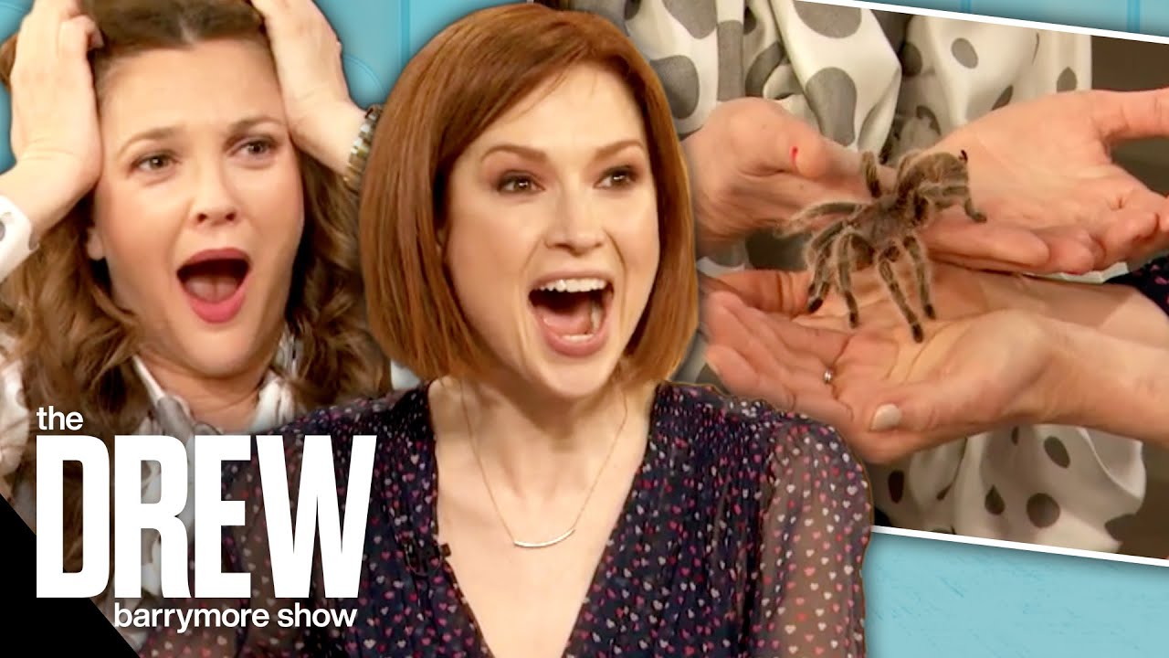 Drew Helps Ellie Kemper Face Her Fear of Tarantulas