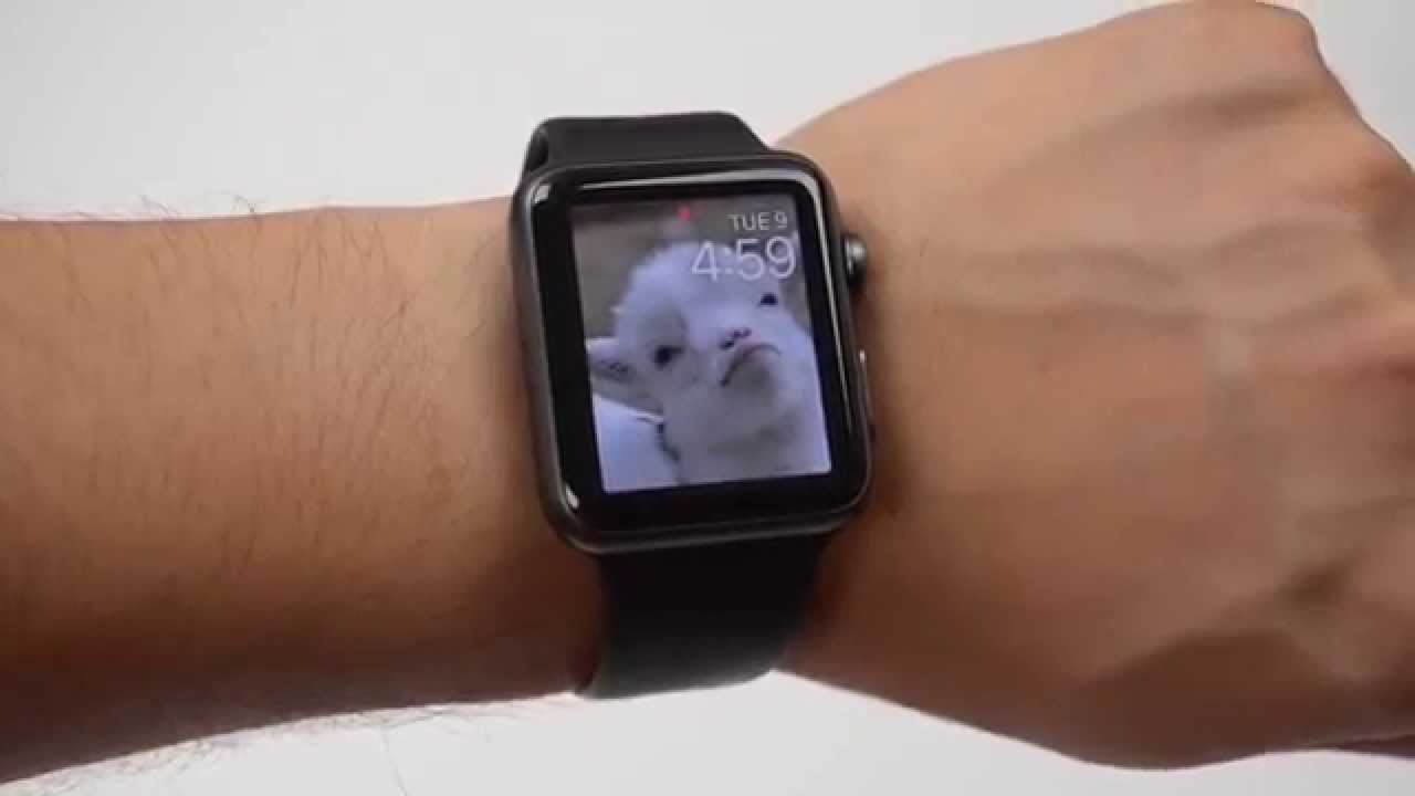 watchOS 2 For Apple Watch: New Features Walkthrough