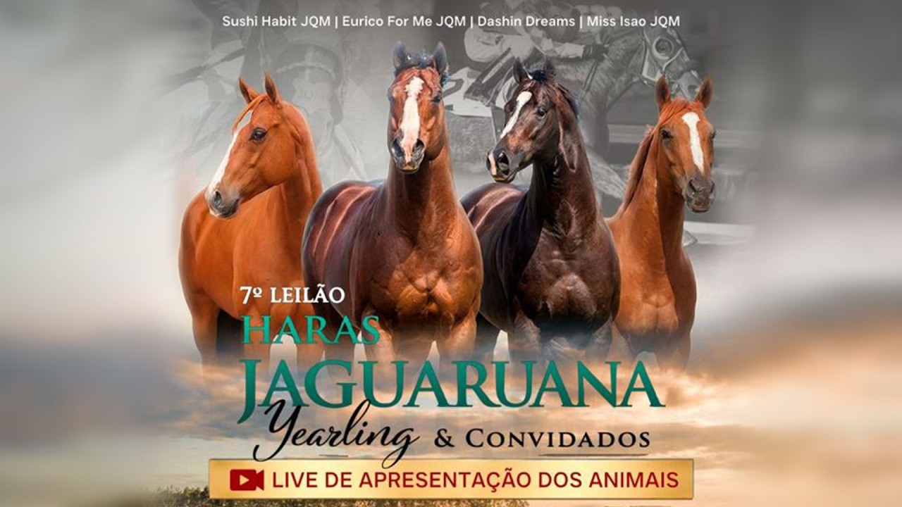 LIVE DE APRESENTAÇÃO: 7º LEILÃO HARAS JAGUARUANA YEARLING & CONVIDADOS