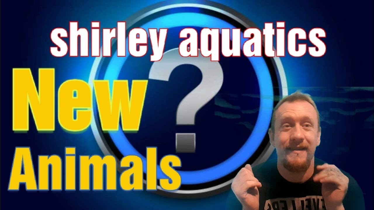 New animals from shirley aquatic's #shirleyaquatics #newanimal #animalunboxing