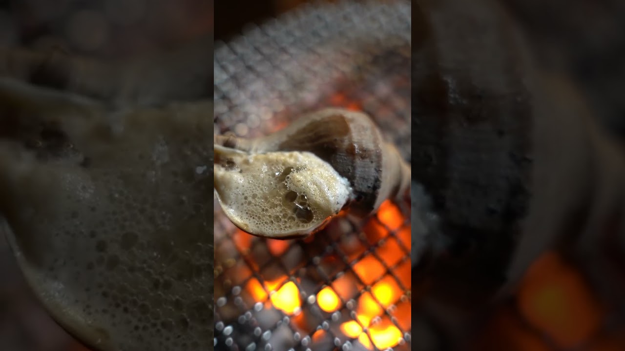 【七輪】 ツブ貝の炭火焼がうますぎる！