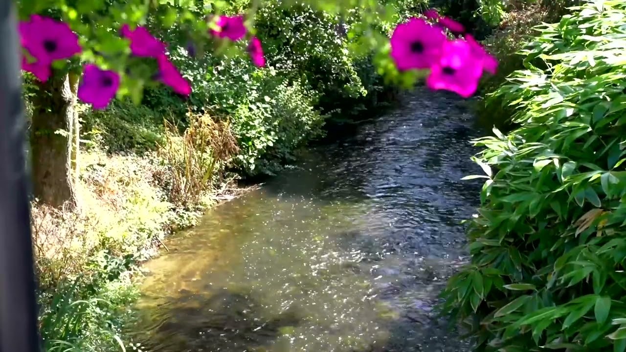 Keep Wexford Beautiful 2023 - Blackwater