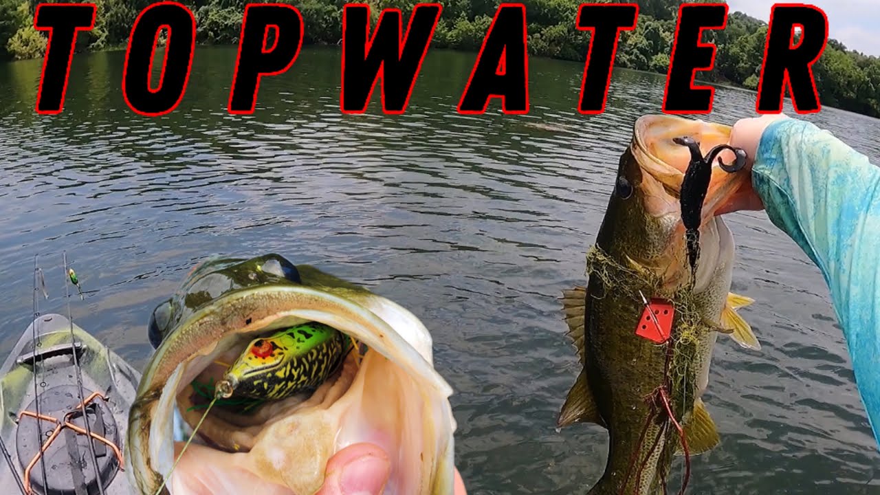 Fishing With Topwater ALL DAY - Lady Bird Lake