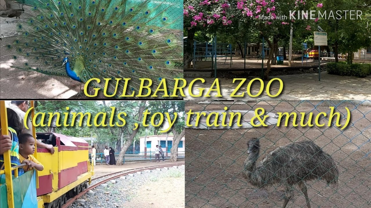 Beautiful zoo in india ( gulbarga , karnataka )