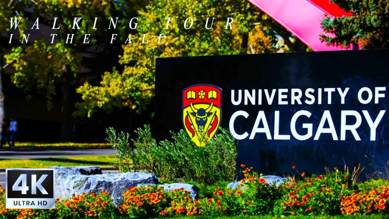 🏫 University of Calgary Campus Walking Tour | Explore UCalgary in 4K