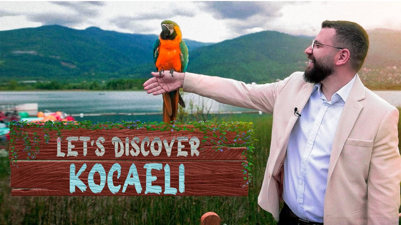 Why Would You Buy a Property in Kocaeli | Let's Discover!