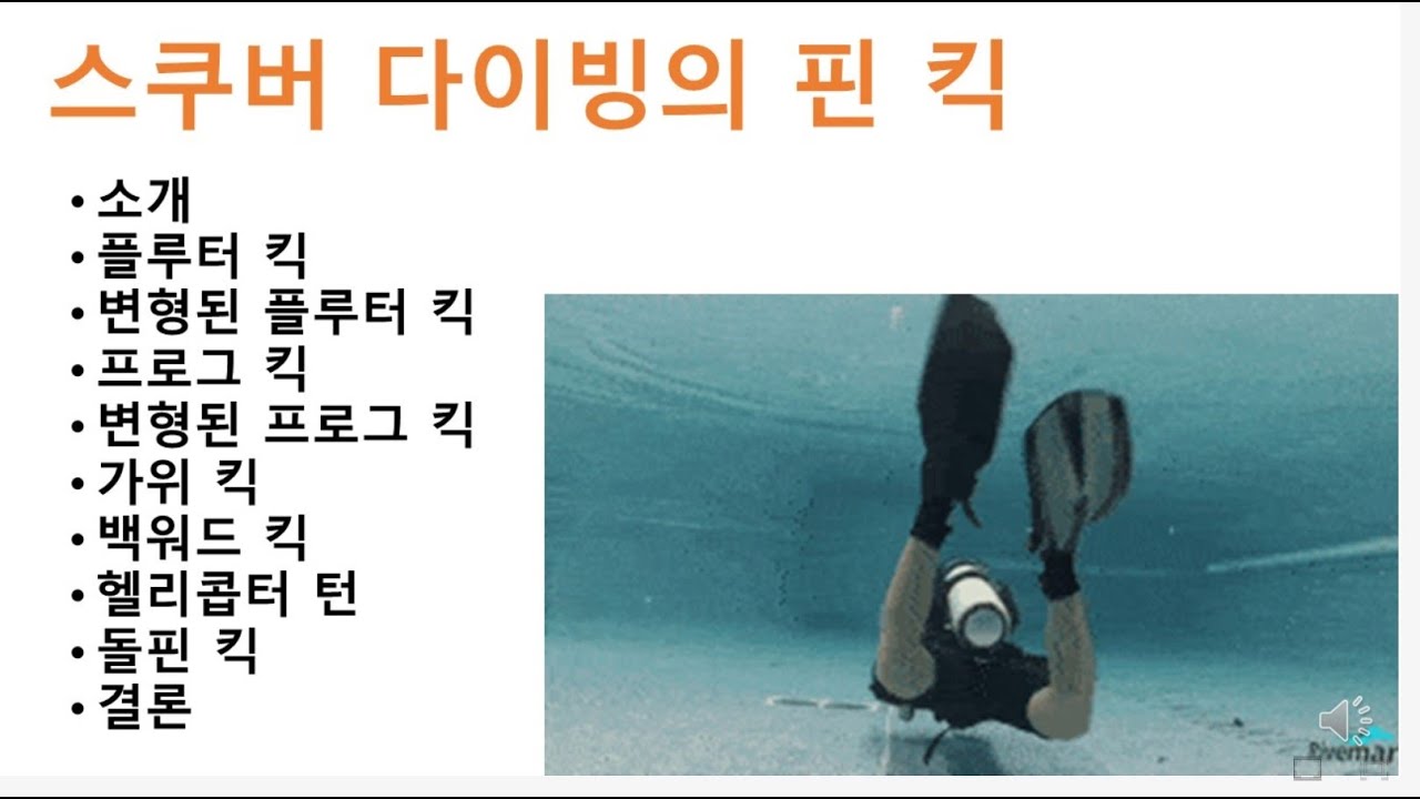 강영천의 스쿠버 다이빙 이야기 - 스쿠버 다이빙의 핀 킥