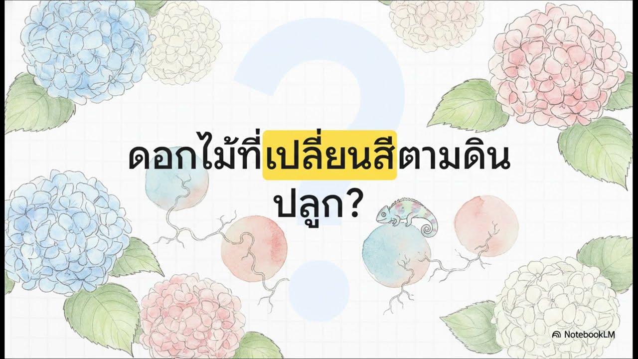 ไฮเดรนเยีย  คู่มือดอกไม้เปลี่ยนสี