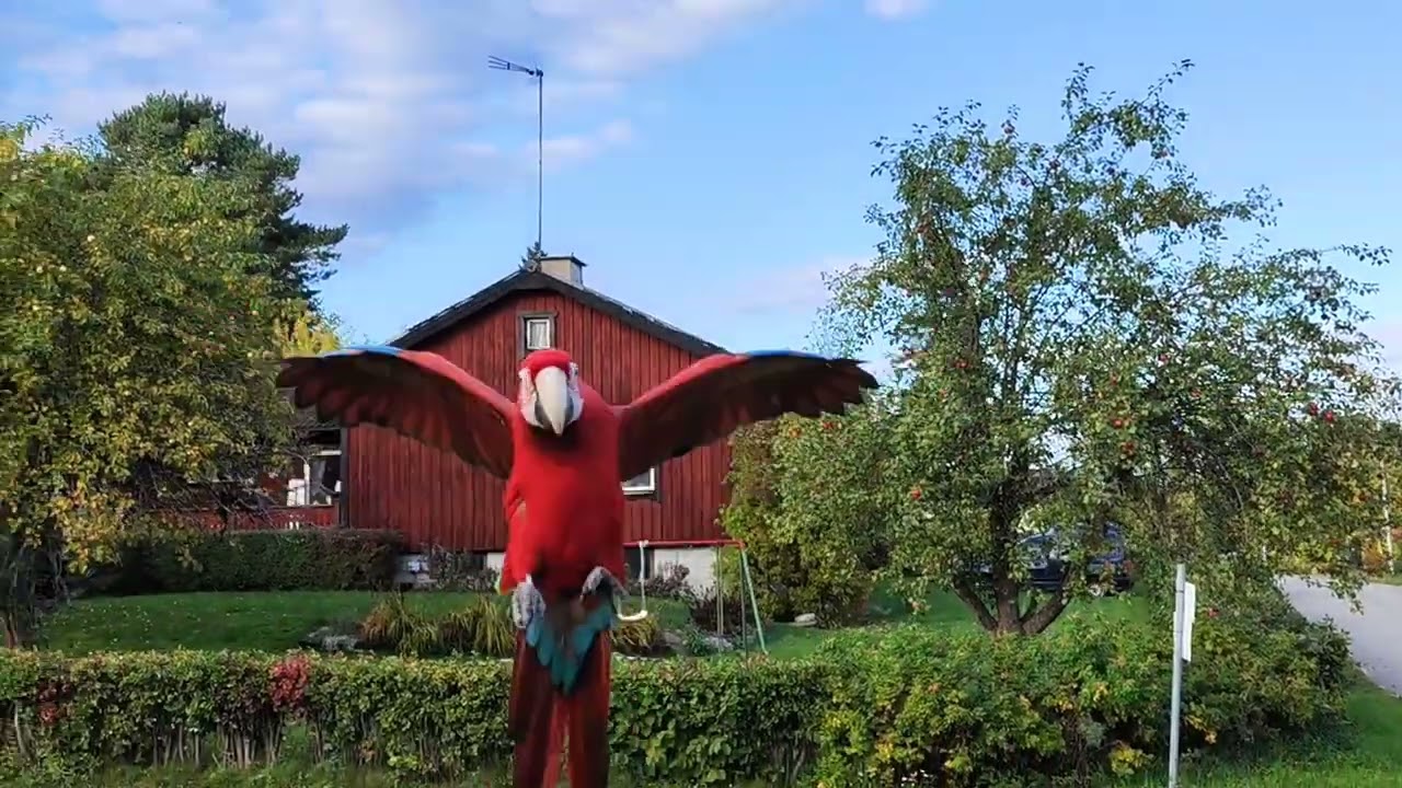 Freja dyker från ett träd 🦜