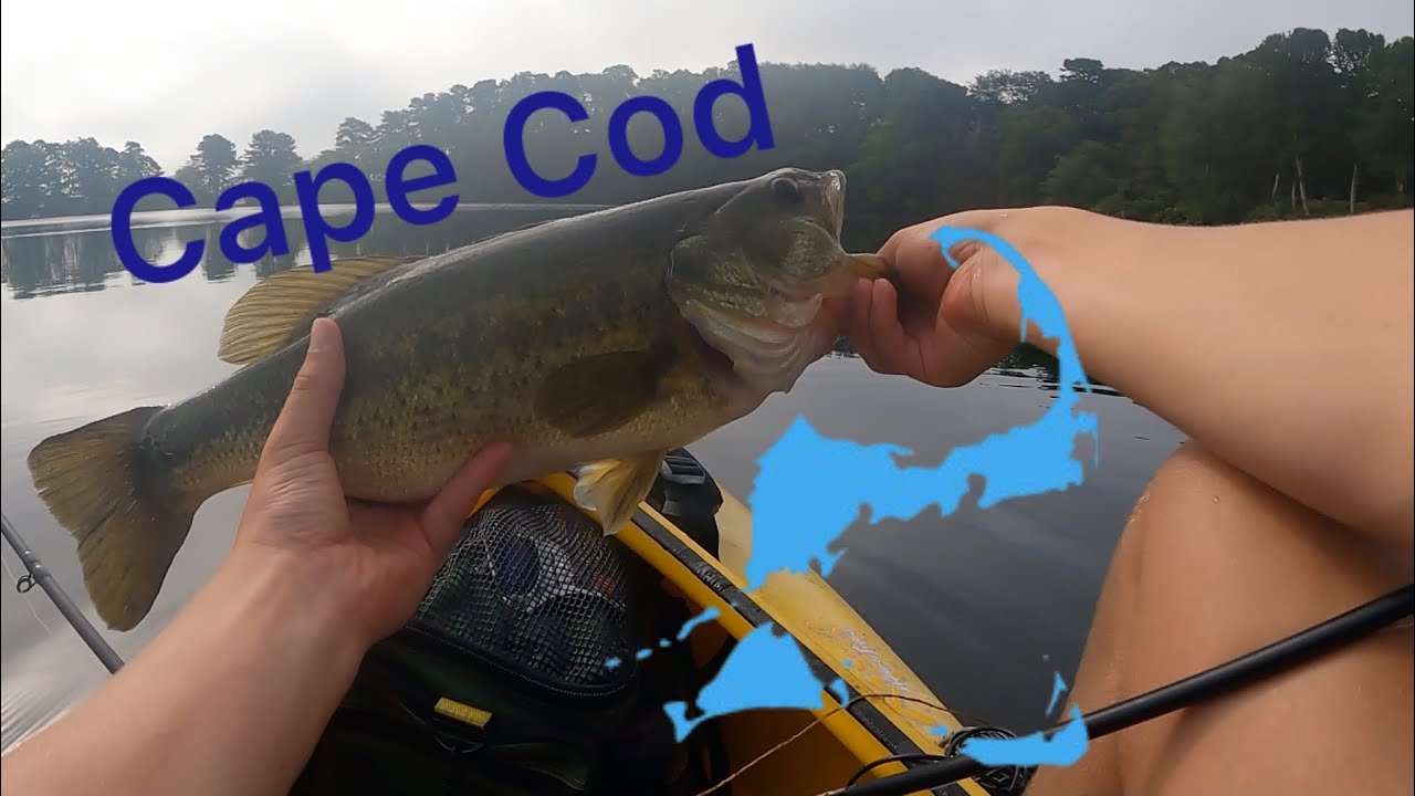 Freshwater Fishing on Cape Cod 