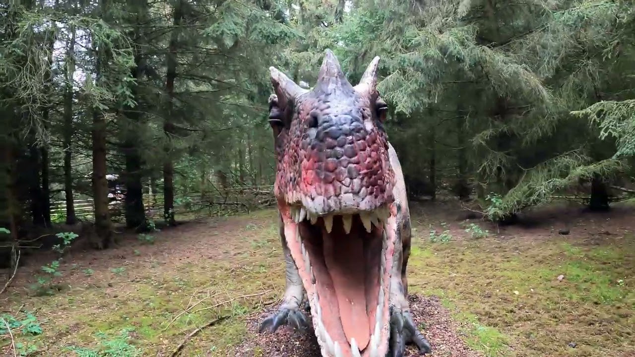 Hoo-Rassic World Walkthrough