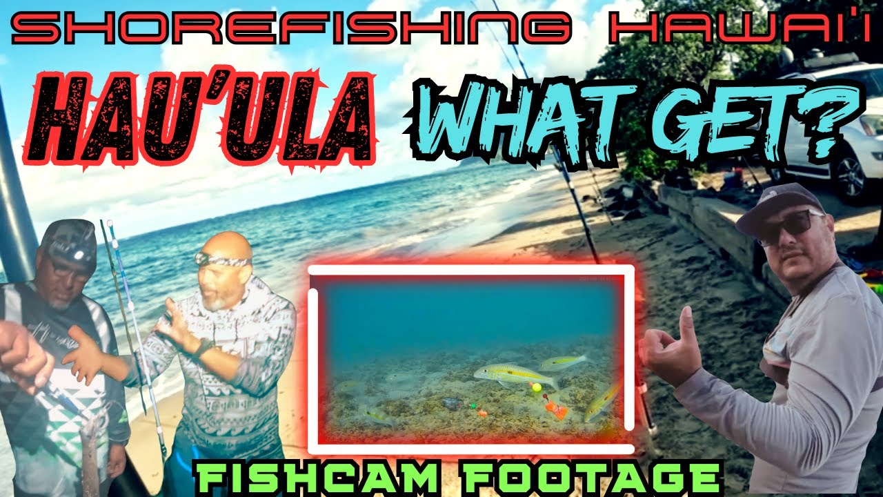 SHOREFISHING HAWAI'I: HAU'ULA-WHAT GET?
