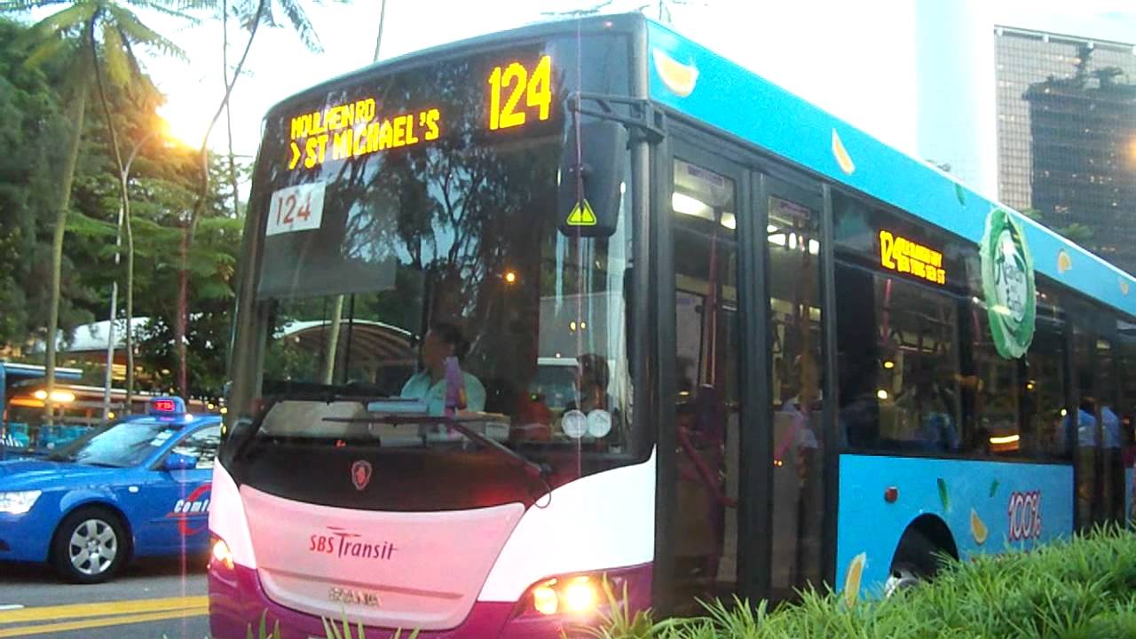 Buses in Singapore, Singapore 在新加坡的巴士，2010!