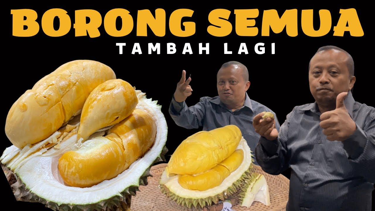 INI MANTAP ⁉️ BUNGKUS SEMUA #durian #duriandurihitam #musangking #durianmontong #masduren