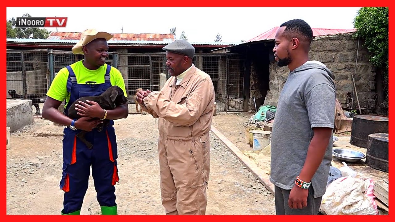Ngui ona yathomithio na Gĩkũyũ no ĩnyitaga- ‘Wamagui’ Timothy Kamau; #MũgamboWaMũrĩmi PART 3