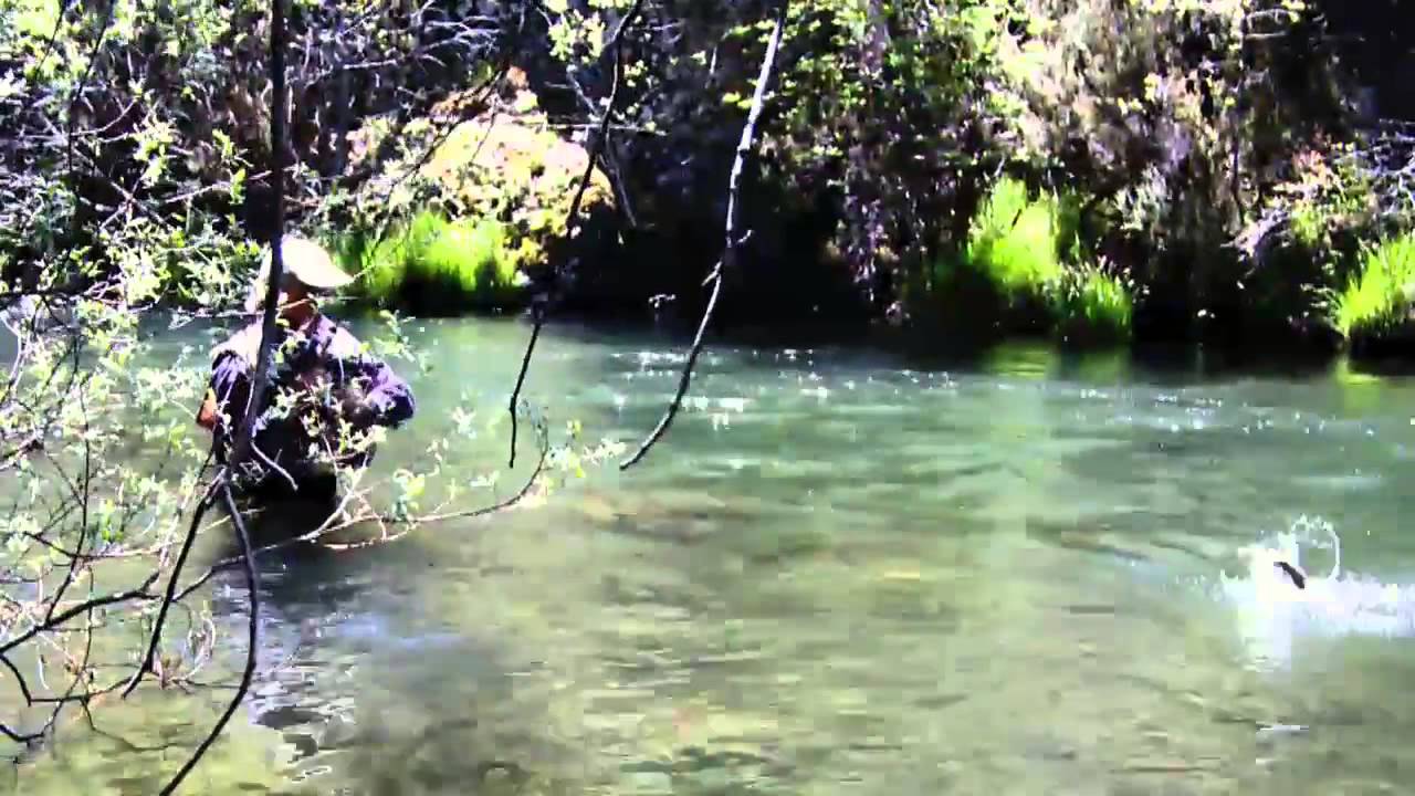 Trailer Pesca en r&iacute;os sil&iacute;ceos