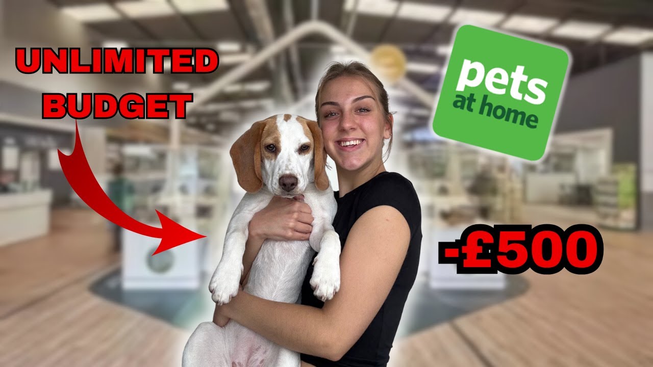 I took my DOG to PETS AT HOME and let her picK whatever she wanted 😰