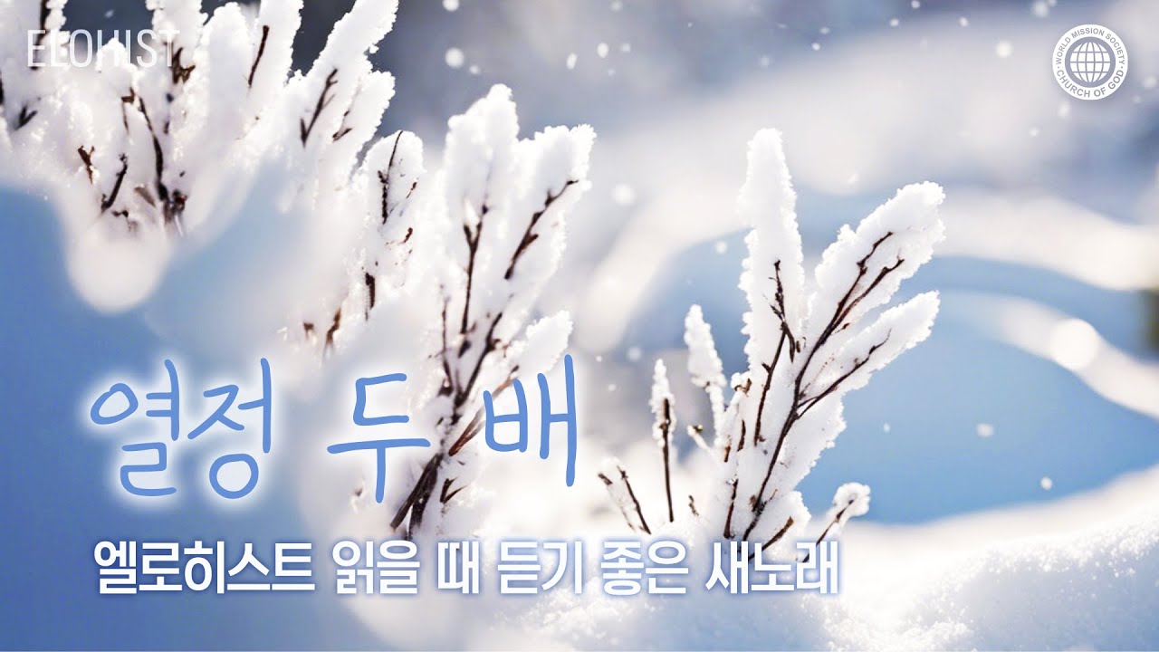 엘로히스트 읽을 때 듣기 좋은 새노래 #12│2025