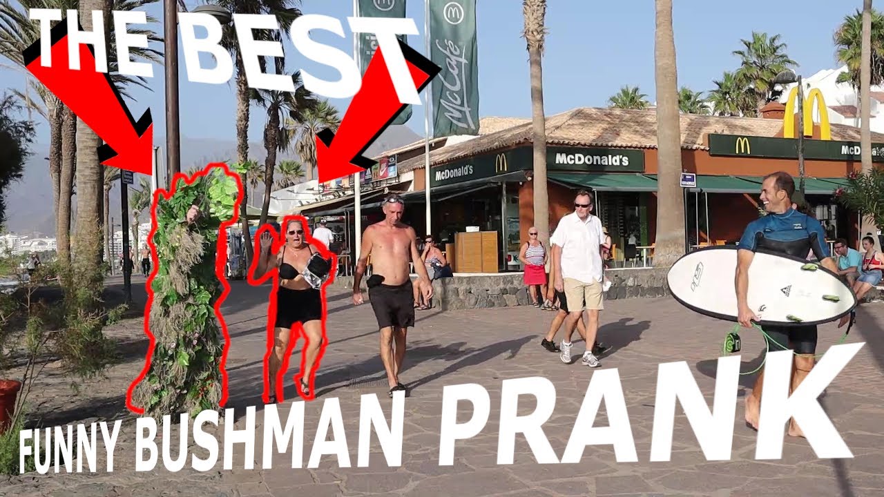 The Best Funny Bushman Prank Dog Freaking Out