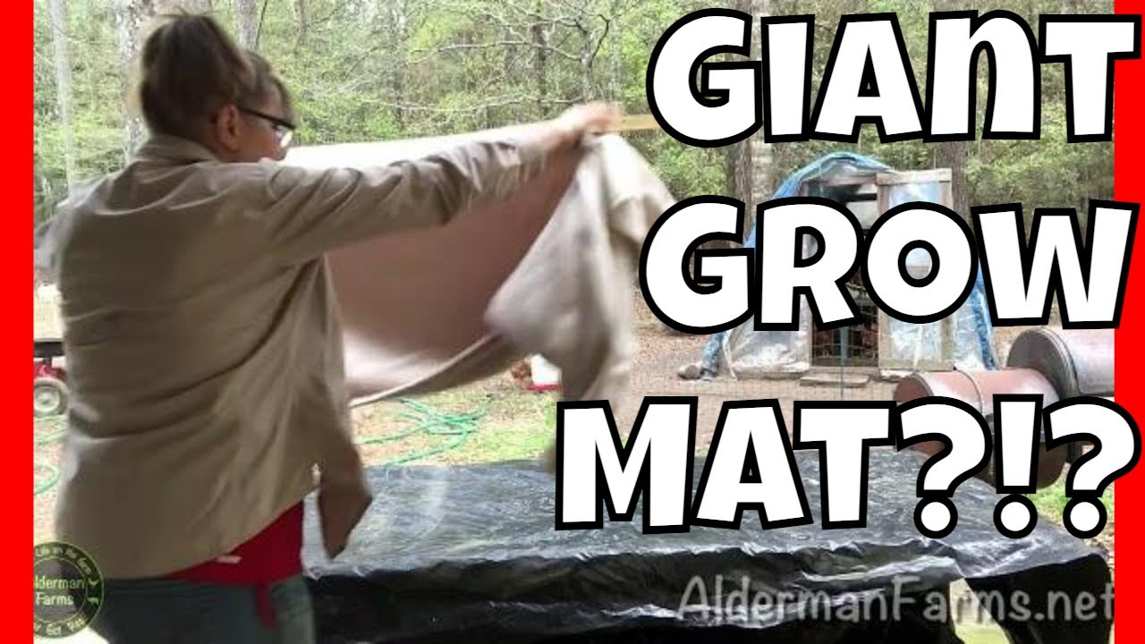 How to Warm Soil for Seed Germination | CHEAP Grow Mat Alternative at AldermanFarms