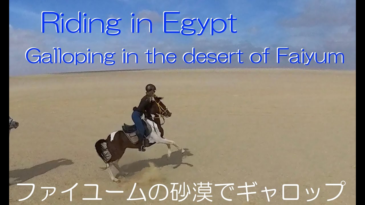 Gallop in Egypt  (ファイユーム)