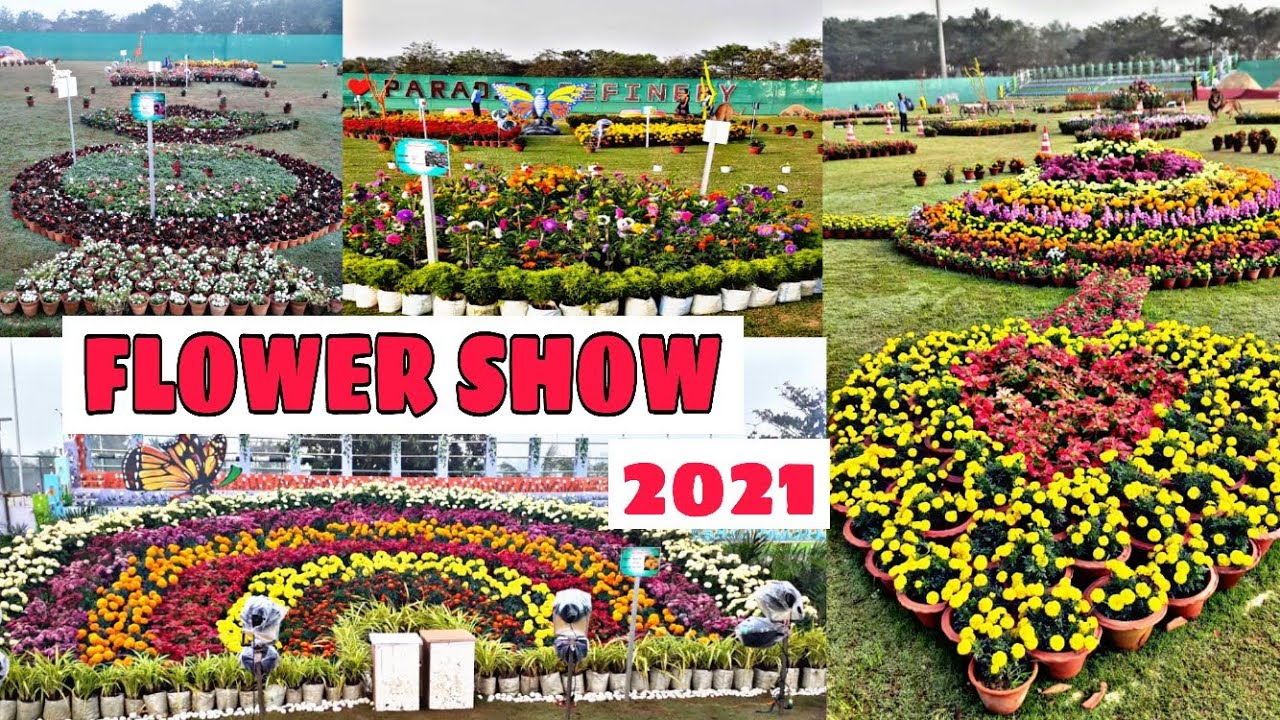 #FLOWER #SHOW #2021 BEAUTIFUL FLOWER SHOW IN INDIA PART-2/ FLOWER SHOW 2021 PARADIP IOCL