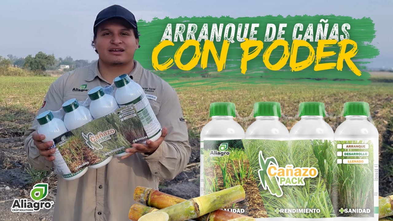 🔥 ARRANCA LA ZAFRA CON TODO: POTENCIA TU CAÑAZO DESDE LA RAÍZ 🔥