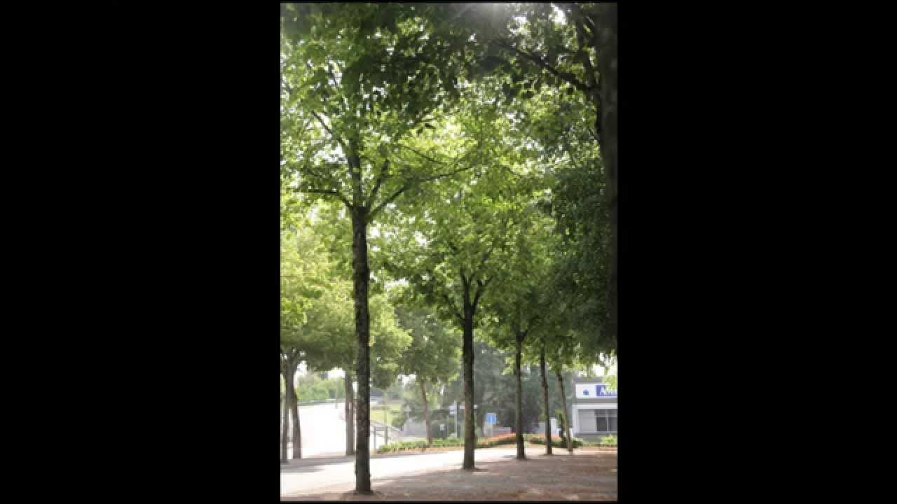 Visitez Seurre autrement