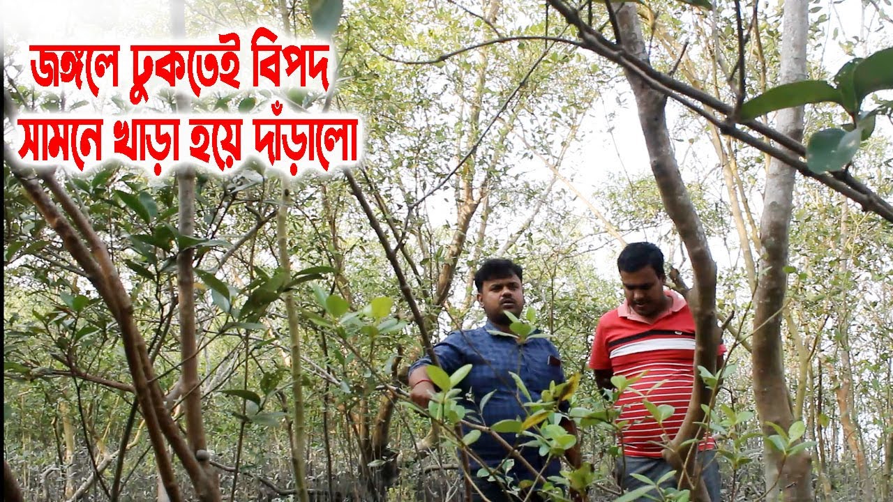 জঙ্গলে ঢুকতেই বিপদ সামনে খাড়া  দাঁড়ালো,Danger loomed before entering the forest