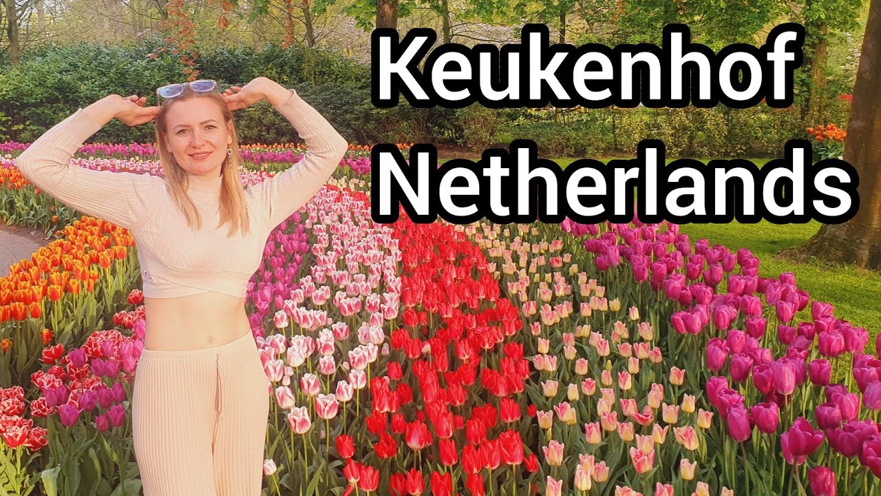 Největší  Květinová  zahrada v Evropě, keukenhof  v Holandsko
