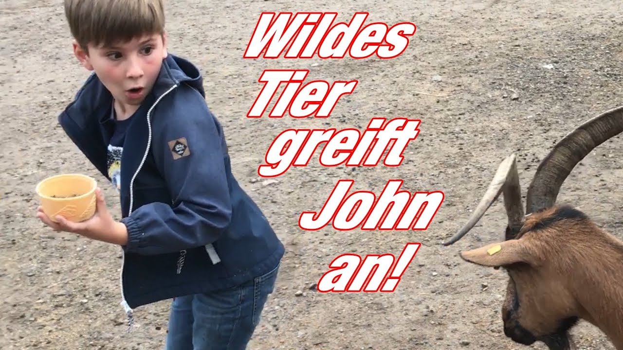 Vlog #061 Wildes Tier greift John an!