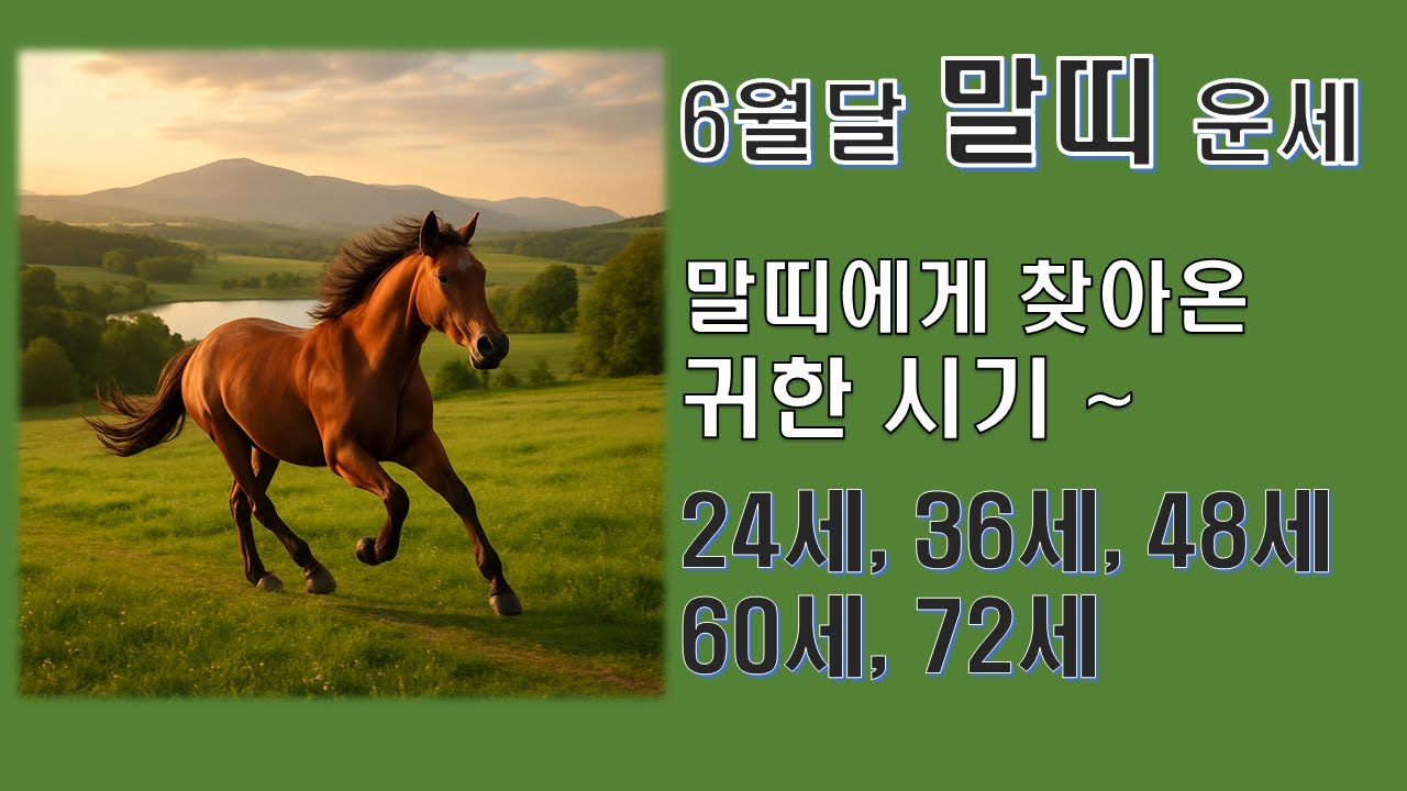 6월 말띠 운세 ~ 말띠에게 찾아온 귀한 시기 / 24세, 36세, 48세, 60세, 72세