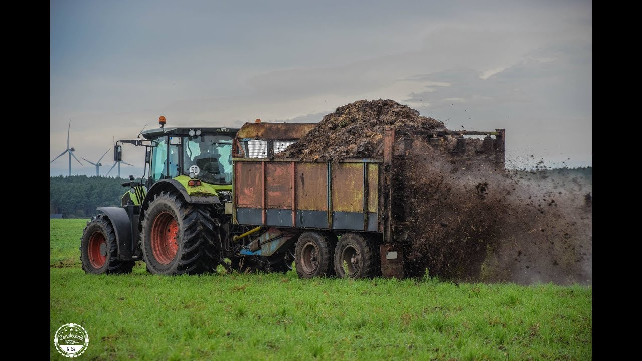 Mist streuen // Claas Arion 540 , Fortschritt T088 , Faun F1410
