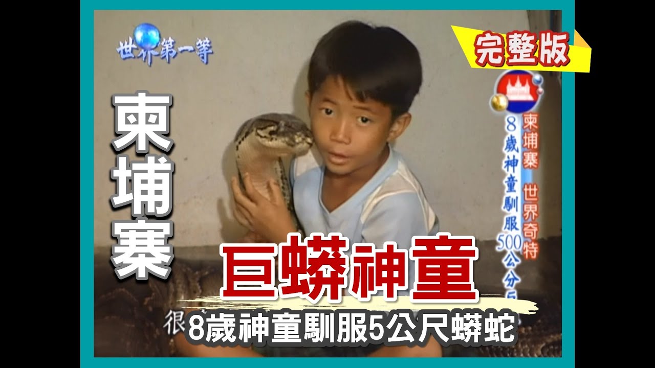 【柬埔寨】拜訪巨蟒神童 8 歲神童馴服 5 公尺蟒蛇！（捉蟋蟀撈田螺野趣 / 燕窩養殖過程）｜《世界第一等》256集完整