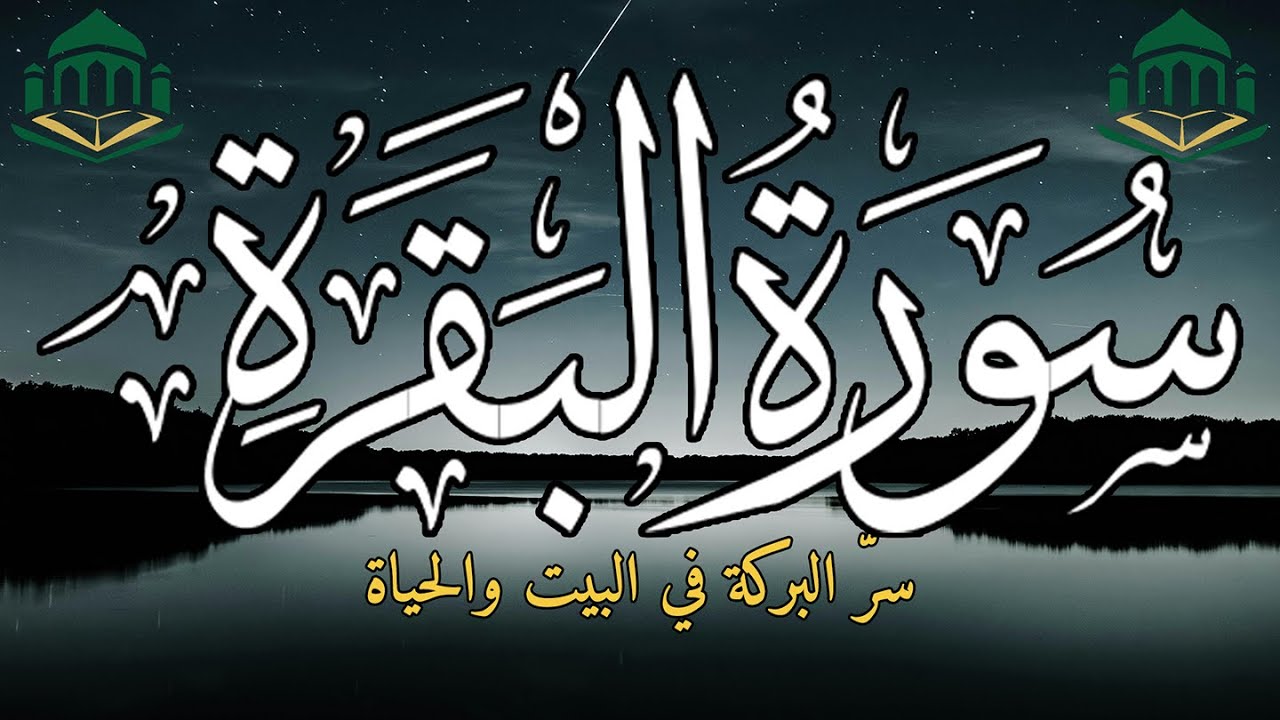 🌅 سورة البقرة صباحًا كاملة | بركة ورزق وراحة قلب وحفظ من كل شر في بداية يومك 🤍✨