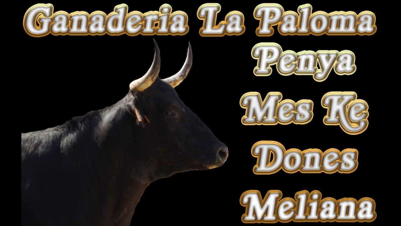 SABADO 12 JUNIO 2021  ◾ INTEGRA ESPECIAL LA PALOMA MELIANA